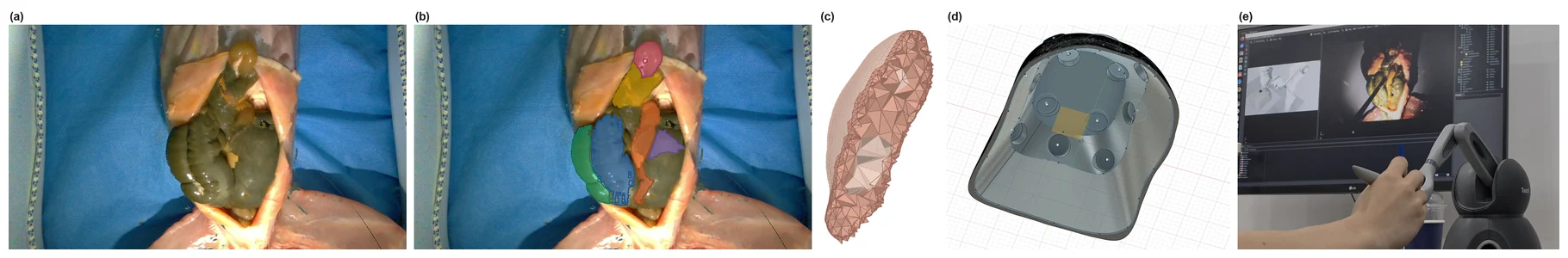 From a fixed-view recording to a closed-loop cell