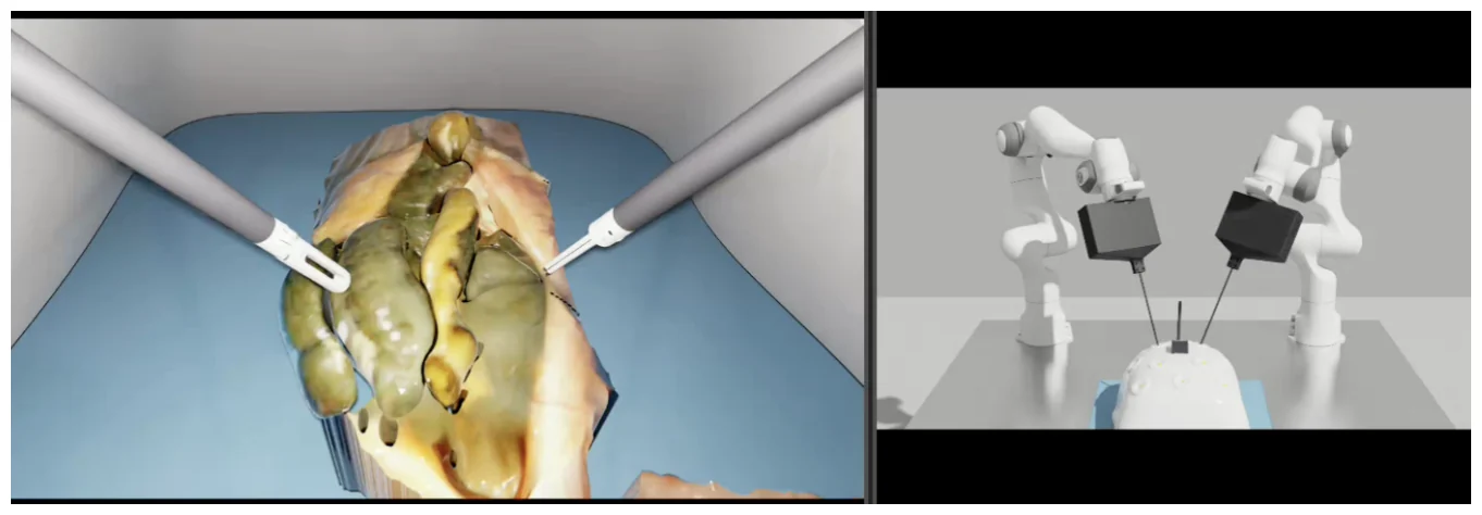 Simulated endoscope view and simulated cell