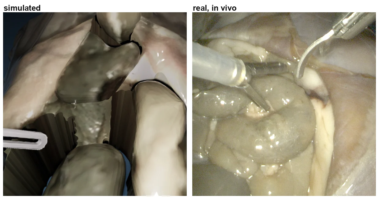 In-vivo scene beside the real view