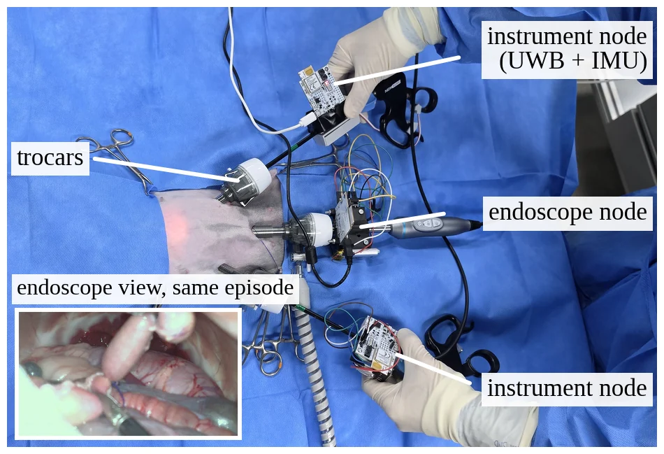 In-vivo deployment