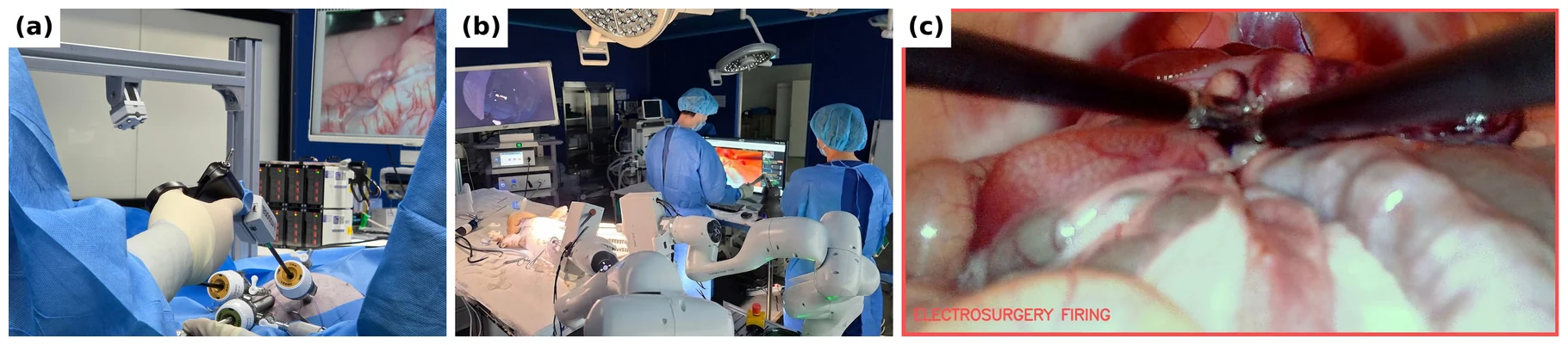 From hand-held demonstrations to in-vivo robotic execution